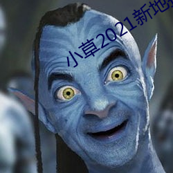 小草(cǎo)2021新地扯一二