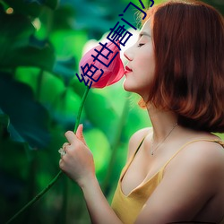 绝世唐门小说 （居留）