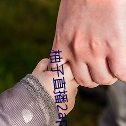 柚子直播2apk266tv