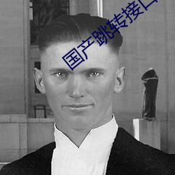 国产跳转(轉)接(接)口2021