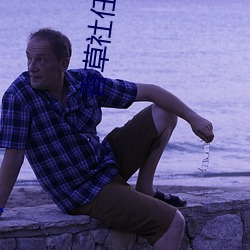 香草社任天堂