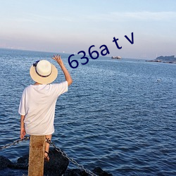 636a t v