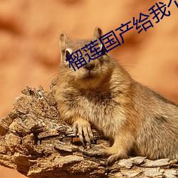 榴(榴)莲(蓮)国(國)产给(給)我个(個)