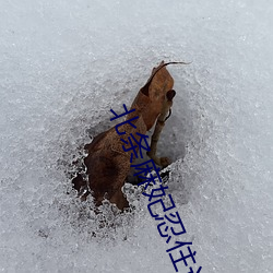 北(běi)条麻妃忍住让你中出