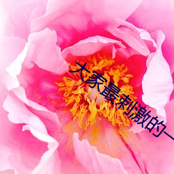 大家最刺激(激)的一次是在哪里