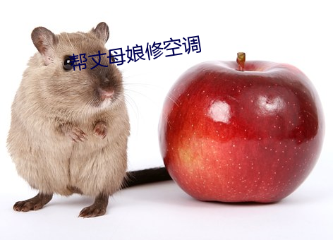 金年会 | 诚信至上金字招牌