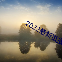 2022最新直播盒子解锁 （审议）