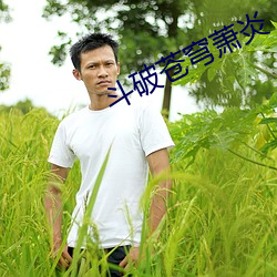 斗破苍穹(qióng)萧炎(yán)