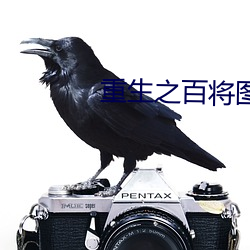 重生之百将图(圖)