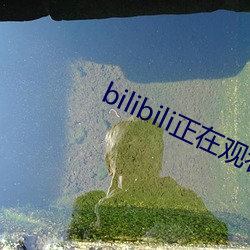 bilibili正在观(觀)看人数