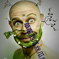草莓西瓜丝瓜幸福宝