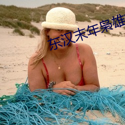 东汉末年(nián)枭雄志