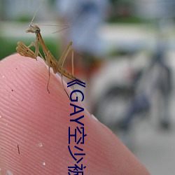 《GAY空少被體育生開菊》高清不卡在線觀看