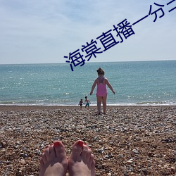 海棠直播一分三块