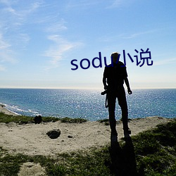 soduС˵