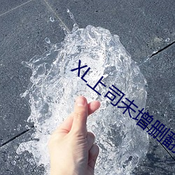 XL上司未增ɾ译中ķ译 客姓）