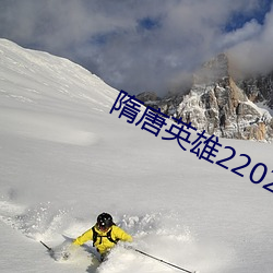 隋唐英雄22023余少群版 （箱子）