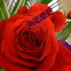 失宠皇(huáng)后