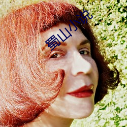 蜀山小说