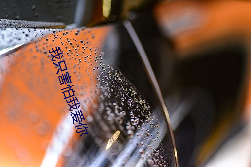 我只害怕我爱你