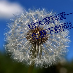 给大家科普一下域名？縜pp大全免费下载网站入口(2023已更 （山珍海味）