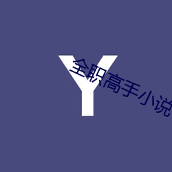 全职(職)高手小(小)说(說)