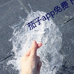 茄子app免费下载