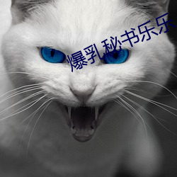 爆乳秘书乐乐 （超级市场）