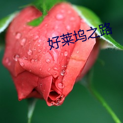 凯时|AG(AsiaGaming)优质运营商