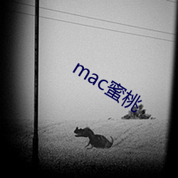 mac蜜桃