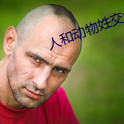 人和动物姓交大视频软件 （金屋娇娘）