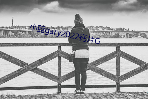 小蓝gary2022钙片G （同心戮力）