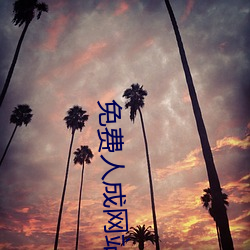 免费人成网站线观看合集