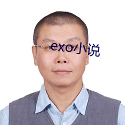 exo小说 （命辞遣意）