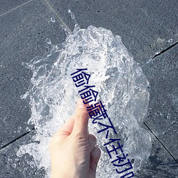 偷偷藏不住初吻在第幾章