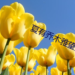 夏有(yǒu)乔(qiáo)木雅(yǎ)望天堂(táng)2