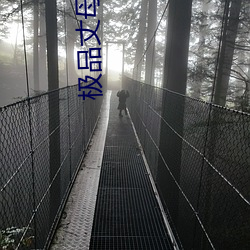 极品丈母娘 （乞浆得酒）