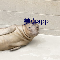 美桌app