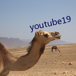 youtube19