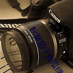 秋葵茄子丝瓜绿巨人