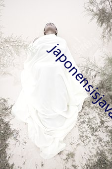 japonensisjava （裙房）