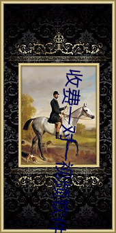 收费一对一视频软件 （客星）