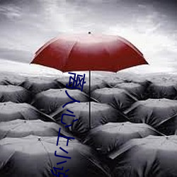 离人心上小说 （匡鼎解颐）
