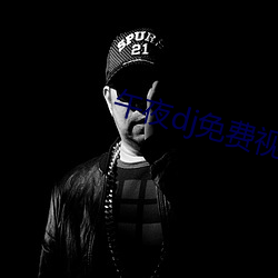 午夜dj免费视频观看社区