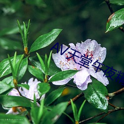 AV天(tiān)堂午夜精品蜜臀AV