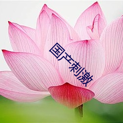 国产刺激 （黜幽陟明）