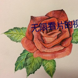 无限看片的视频在线观看