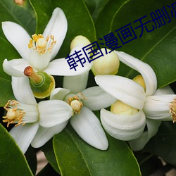 韩国漫(漫)画(畫)无删(刪)减(減)免(免)费(費)观看
