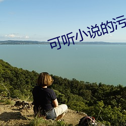 可(kě)听小说的污