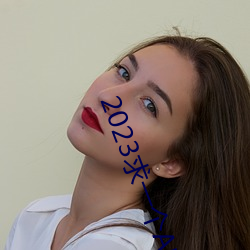 2023求一个A的网址那么难